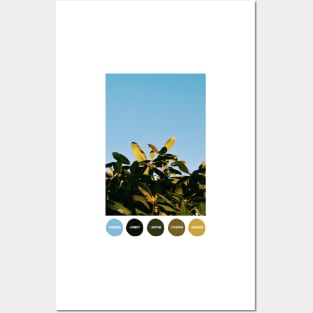 Mid-Winter Sunlight Color Palette [Dots] Posters and Art